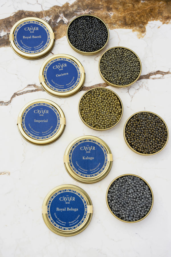 What is Caviar? The Complete Guide to Types, Taste and Price