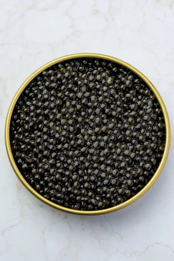 Royal Baerii Caviar