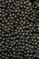 Royal Baerii Caviar