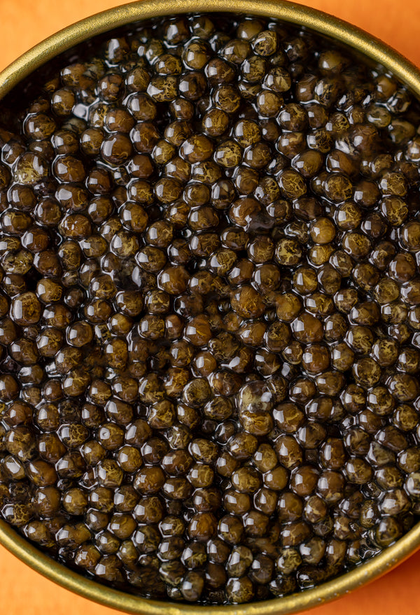 Royal Baerii Caviar