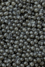 Royal Beluga Caviar