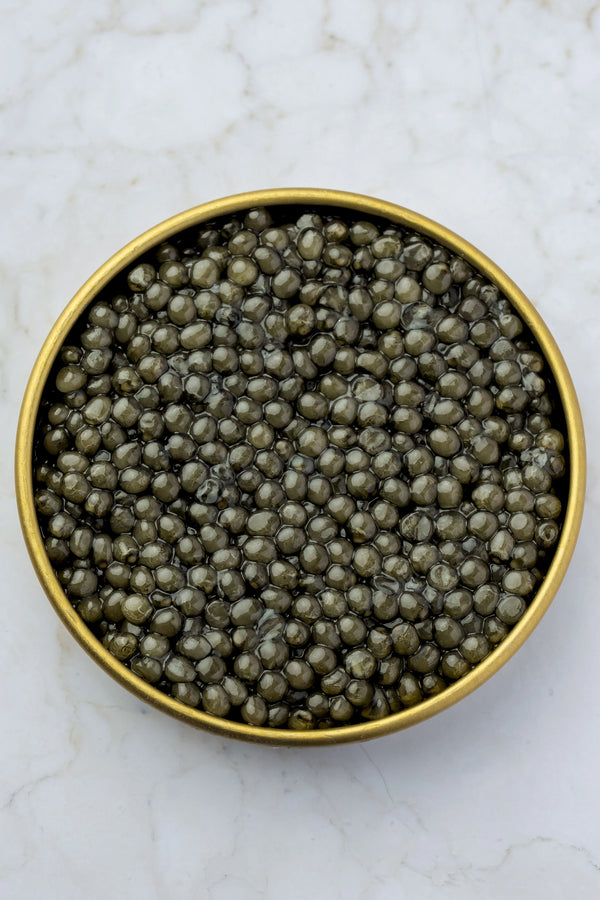 Oscietra Caviar