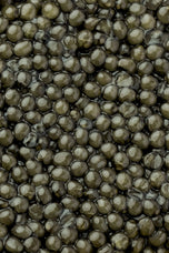 Oscietra Caviar