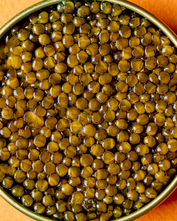 Oscietra Caviar