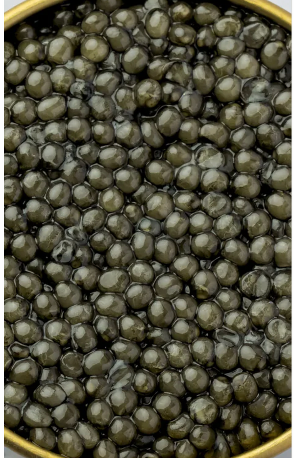 Royal Kaluga Caviar